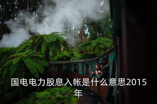 國電電力股息入帳是什么意思2015年