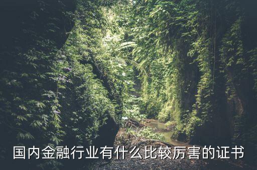 國內(nèi)金融行業(yè)有什么比較厲害的證書