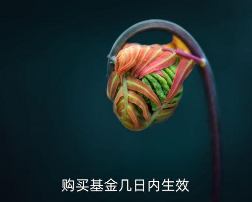 購買基金什么時候生效，購買基金幾日內生效