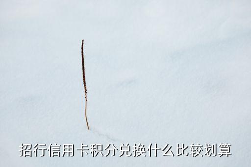 招行積分能換什么資料，招商積分換什么比較合算