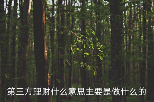 什么是第三方理財(cái)公司，第三方理財(cái)什么意思主要是做什么的