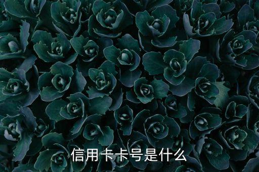 信用卡卡號(hào)是什么