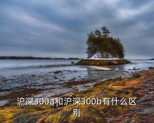 滬深300a和滬深300b有什么區(qū)別