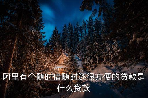 什么叫隨借隨還，那些人可以申請隨借隨還又需要什么條件
