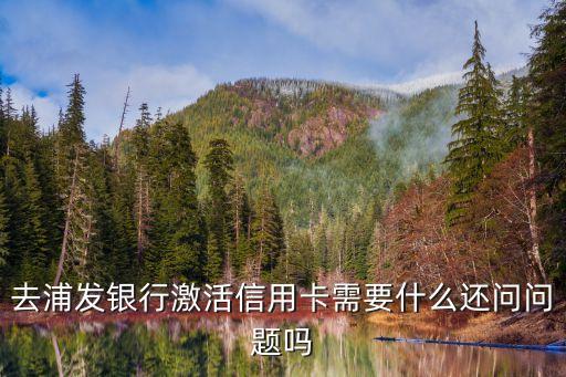浦發(fā)網(wǎng)點(diǎn)開卡需要什么意思，浦發(fā)信用卡網(wǎng)點(diǎn)激活流程