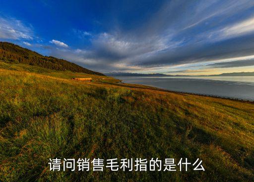 請問銷售毛利指的是什么