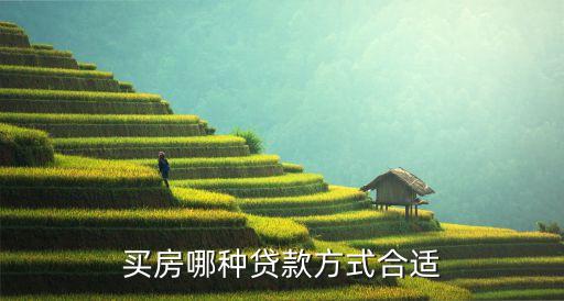買(mǎi)房哪種貸款方式合適