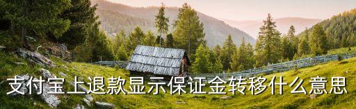 貨款轉(zhuǎn)保證金是什么意思，支付寶上退款顯示保證金轉(zhuǎn)移什么意思
