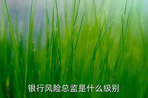 銀行風險總監(jiān)是什么意思，銀行風險總監(jiān)是什么級別
