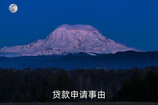 貸款申請(qǐng)事由