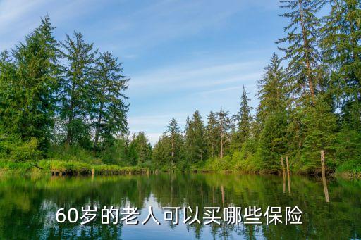60歲的老人可以買哪些保險
