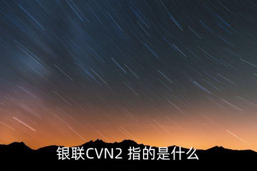 銀聯(lián)CVN2 指的是什么