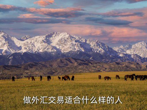 做外匯交易適合什么樣的人