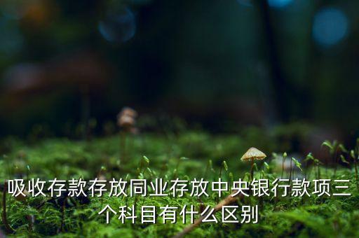 什么是央行同業(yè)賬戶，1011 存放同業(yè)怎么解釋