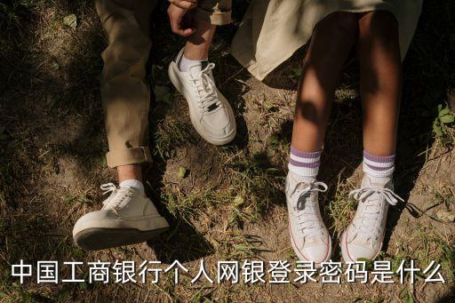 中國(guó)工商銀行個(gè)人網(wǎng)銀登錄密碼是什么