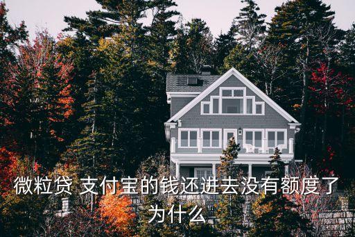 為什么微粒貸無額度，為什么我的微粒貸開通了沒有額度呢