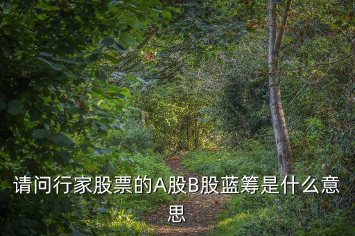 什么叫藍(lán)籌，什么事藍(lán)籌股