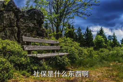 什么是社會(huì)保險(xiǎn)，社保是什么東西啊