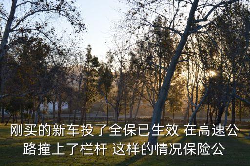 什么是純粹風(fēng)險，剛買的新車投了全保已生效 在高速公路撞上了欄桿 這樣的情況保險公