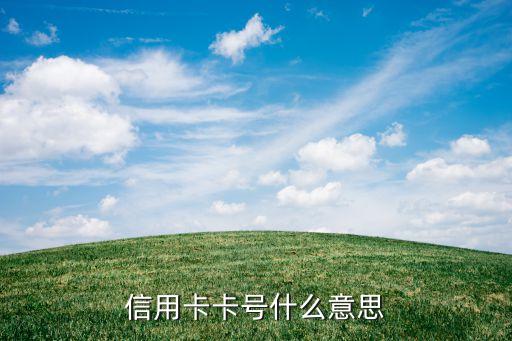 信用卡卡號(hào)什么意思