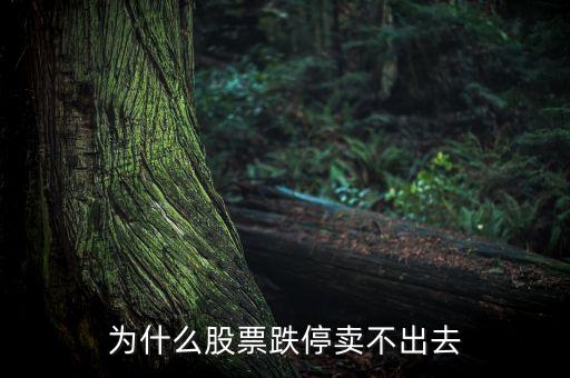 為什么股票跌停賣(mài)不出去