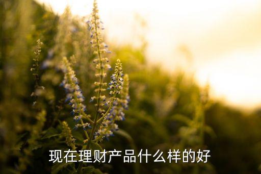 現(xiàn)在理財買什么好，目前最好的理財方式的什么