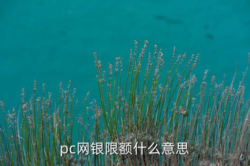 pc網(wǎng)銀限額什么意思，pc網(wǎng)銀限額什么意思