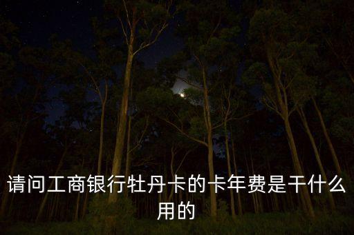 請問工商銀行牡丹卡的卡年費(fèi)是干什么用的