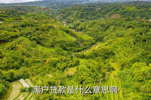 黑貸是什么東西，買(mǎi)房子時(shí)所說(shuō)的黑貸款是怎么回事