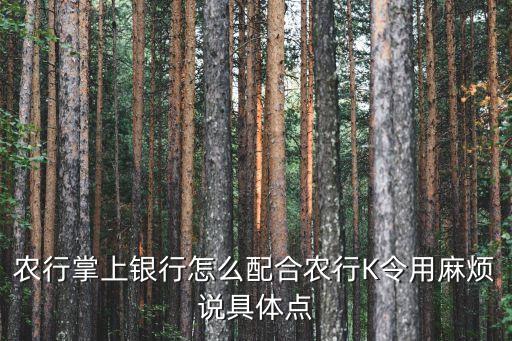 農(nóng)行k令怎么添加收款方，農(nóng)行掌上銀行添加常用收款人無法輸入動態(tài)口令