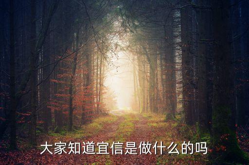 大家知道宜信是做什么的嗎
