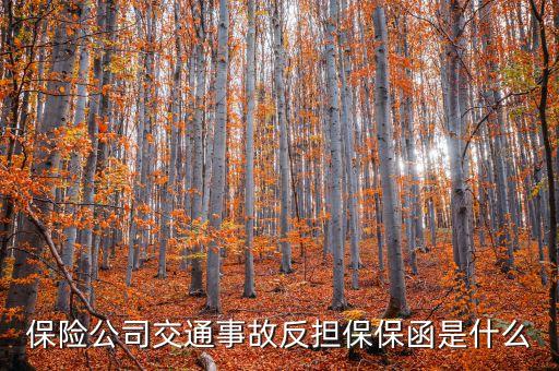 保險(xiǎn)公司交通事故反擔(dān)保保函是什么