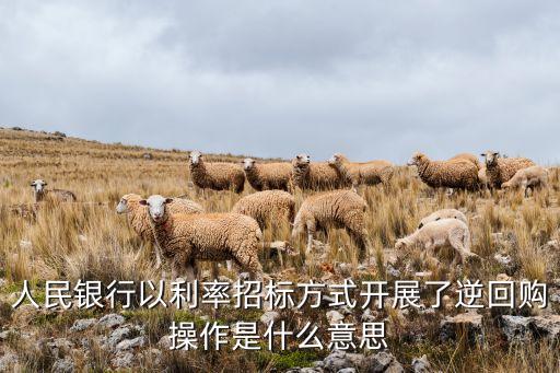 人民銀行以利率招標方式開展了逆回購操作是什么意思
