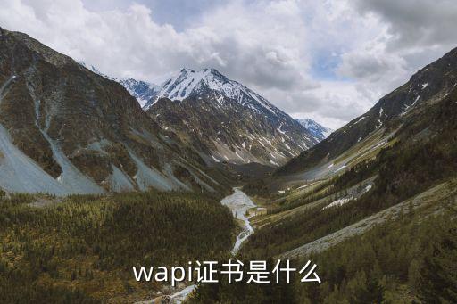 wap證書是什么，wapi證書是什么