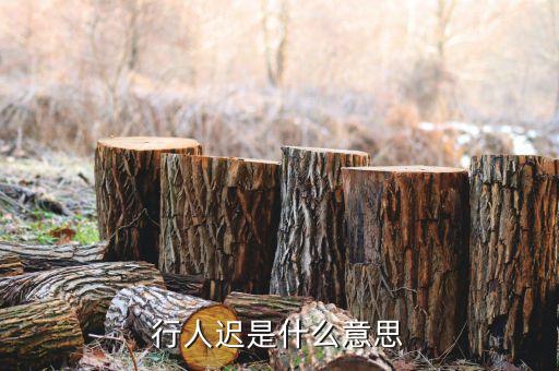 行人未還 什么意思是什么意思是什么意思，行人遲是什么意思