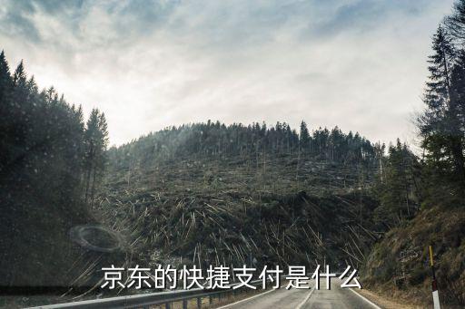 什么是京東快捷支付，京東快捷支付是什么銀行卡需要開通什么