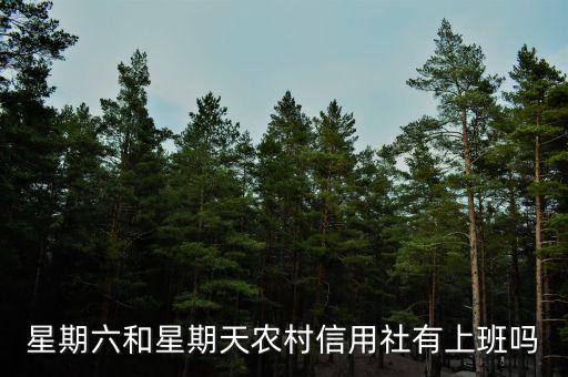什么星期六星期天上班嗎，周六日上班嗎