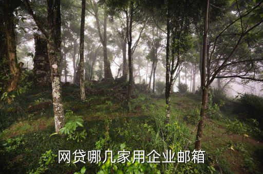 什么網(wǎng)貸授權(quán)企業(yè)郵箱，網(wǎng)貸如何認(rèn)證企業(yè)郵箱