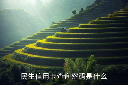 民生信用卡查詢密碼是什么