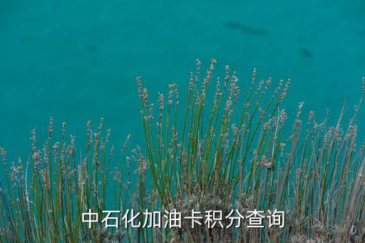 加油卡怎么查積分兌換，中石化加油卡是怎樣進(jìn)行積分查詢的