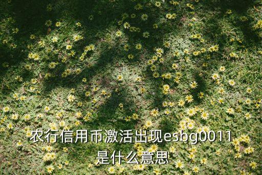 農(nóng)行信用幣什么意思，credit gold card是什么意思