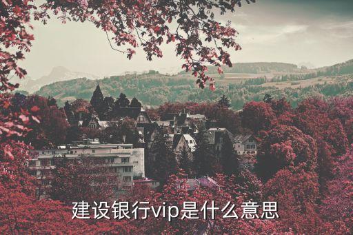 銀行VIP是什么意思，銀行的VlP是什么意思