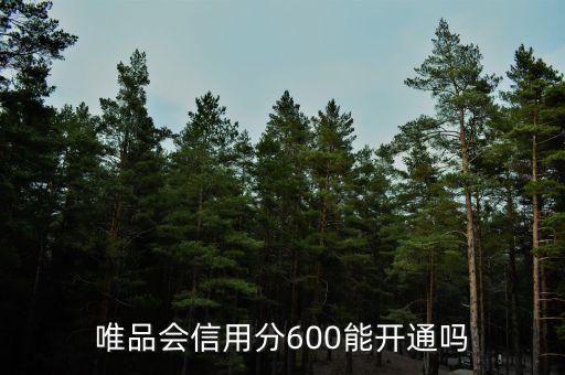 唯品會信用分600能開通嗎