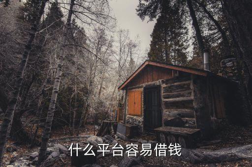 什么平臺(tái)容易借錢(qián)