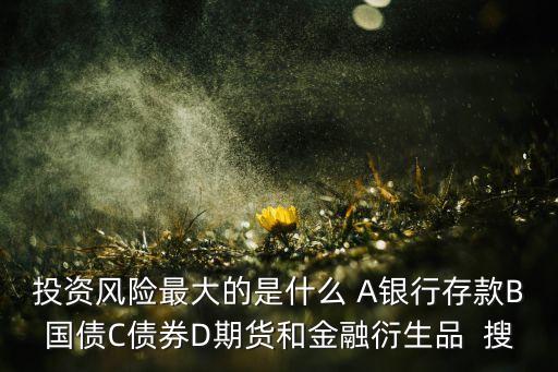 風(fēng)險(xiǎn)最大什么，投資風(fēng)險(xiǎn)最大的是什么 A銀行存款B國債C債券D期貨和金融衍生品  搜