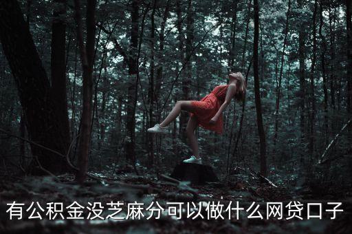 公積金能做什么網貸，網絡用公積金貸款口子