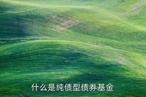 純債券基金是什么意思，什么是純債型債券基金