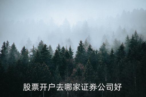 股票開戶去哪家證券公司好