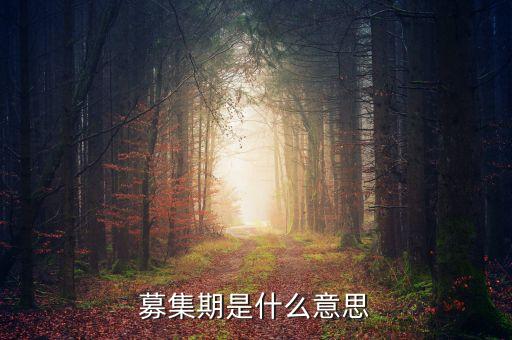 募集期是什么意思
