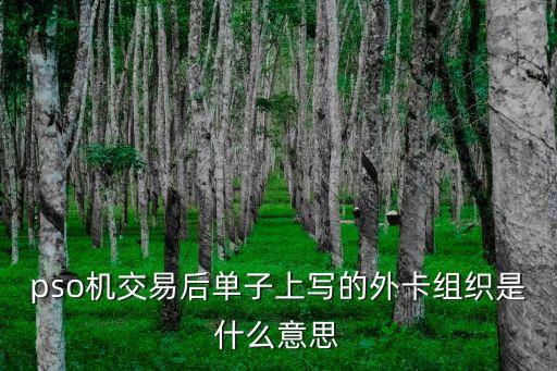 pso機交易后單子上寫的外卡組織是什么意思